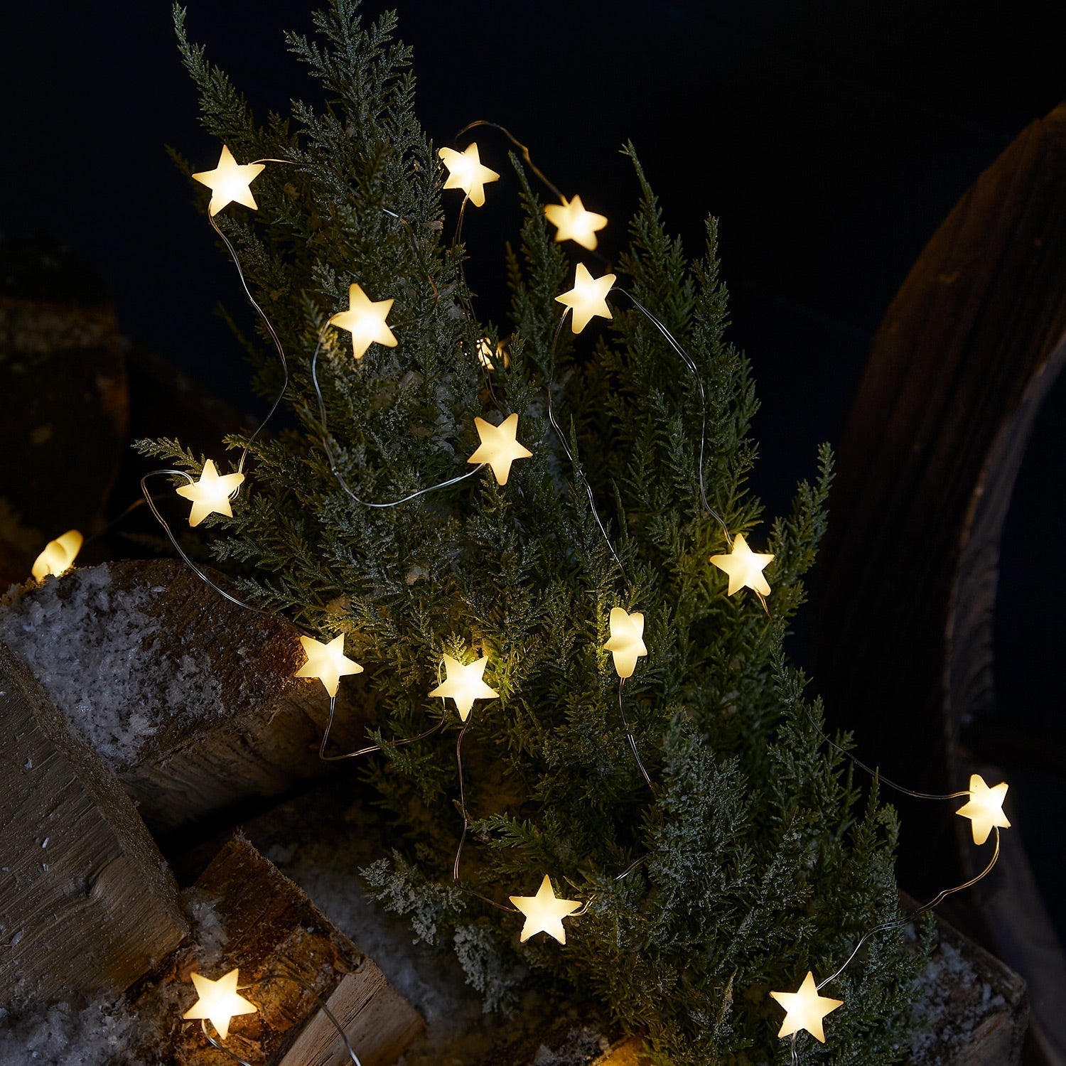 Estreluz50: Fadas Exteriores Branco Quente / Decoração